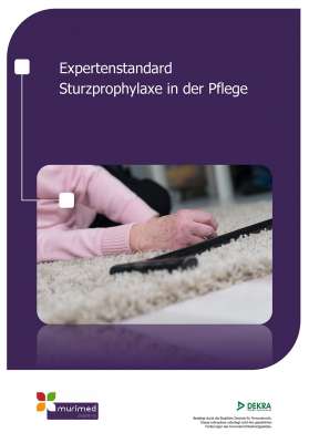 ES 01 - Expertenstandard Sturzprophylaxe in der Pflege